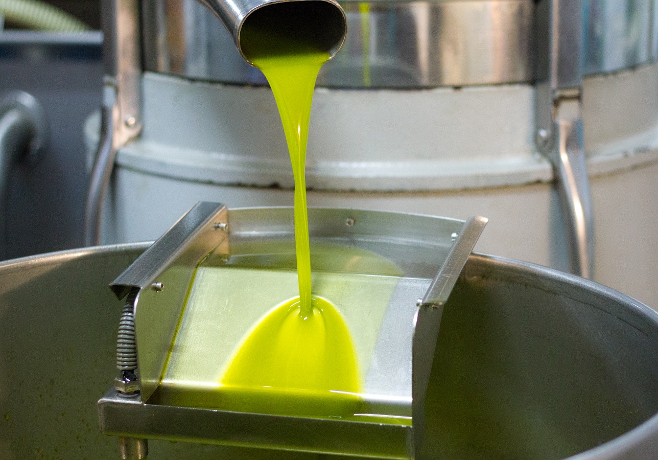 Fresh-Pressed Olive Oil Pouring From Olive Press Spout Fresh-pressed green virgin olive oil flowing from olive press spout.