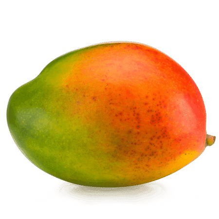 mango-szt
