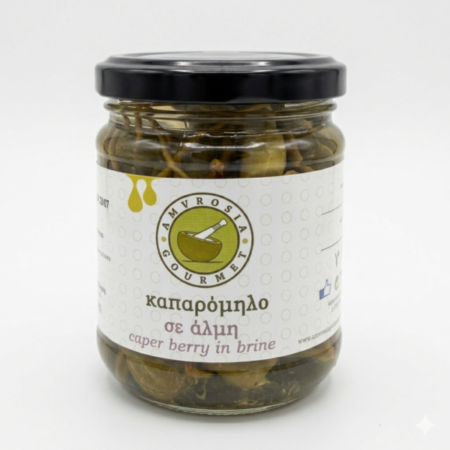 Gemini_Generated_Image_222hd0222hd0222h